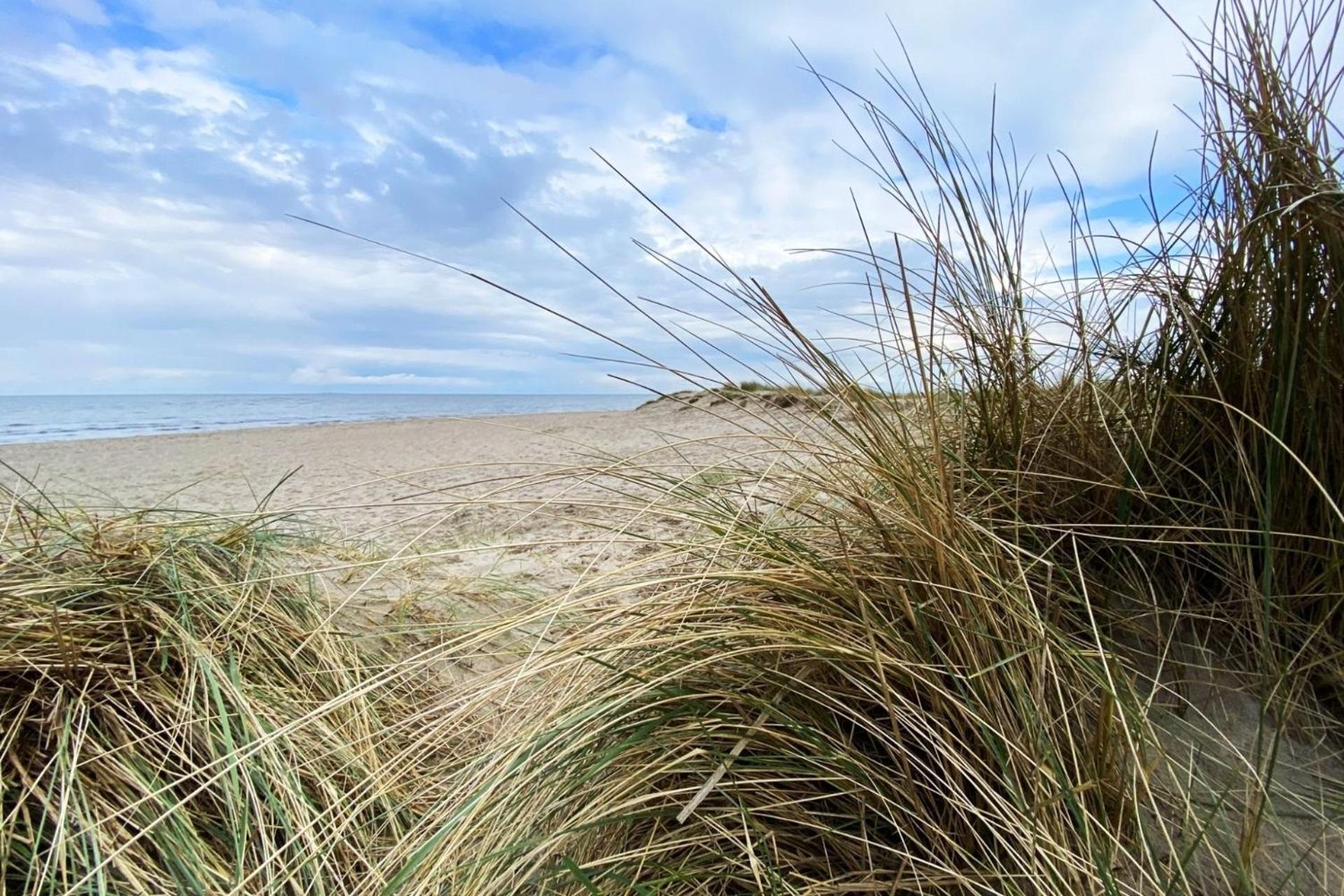 Ferien Im Wangerland - Haus Wiesenweg - Apartment 2 1Og 霍鲁梅尔希尔 外观 照片